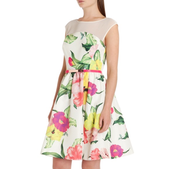 Ted Baker London Iberis Floral Fit & Flare Dress - Picture 5 of 16